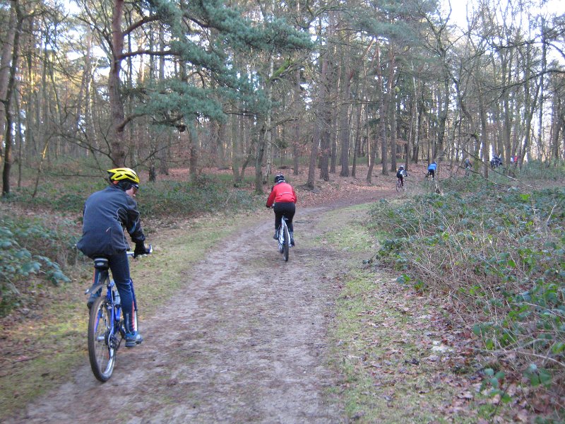 Wedel 028
